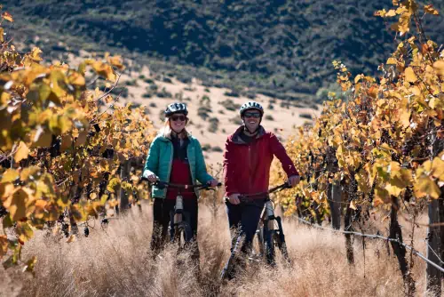 Cycle trails through Queenstown Vineyards